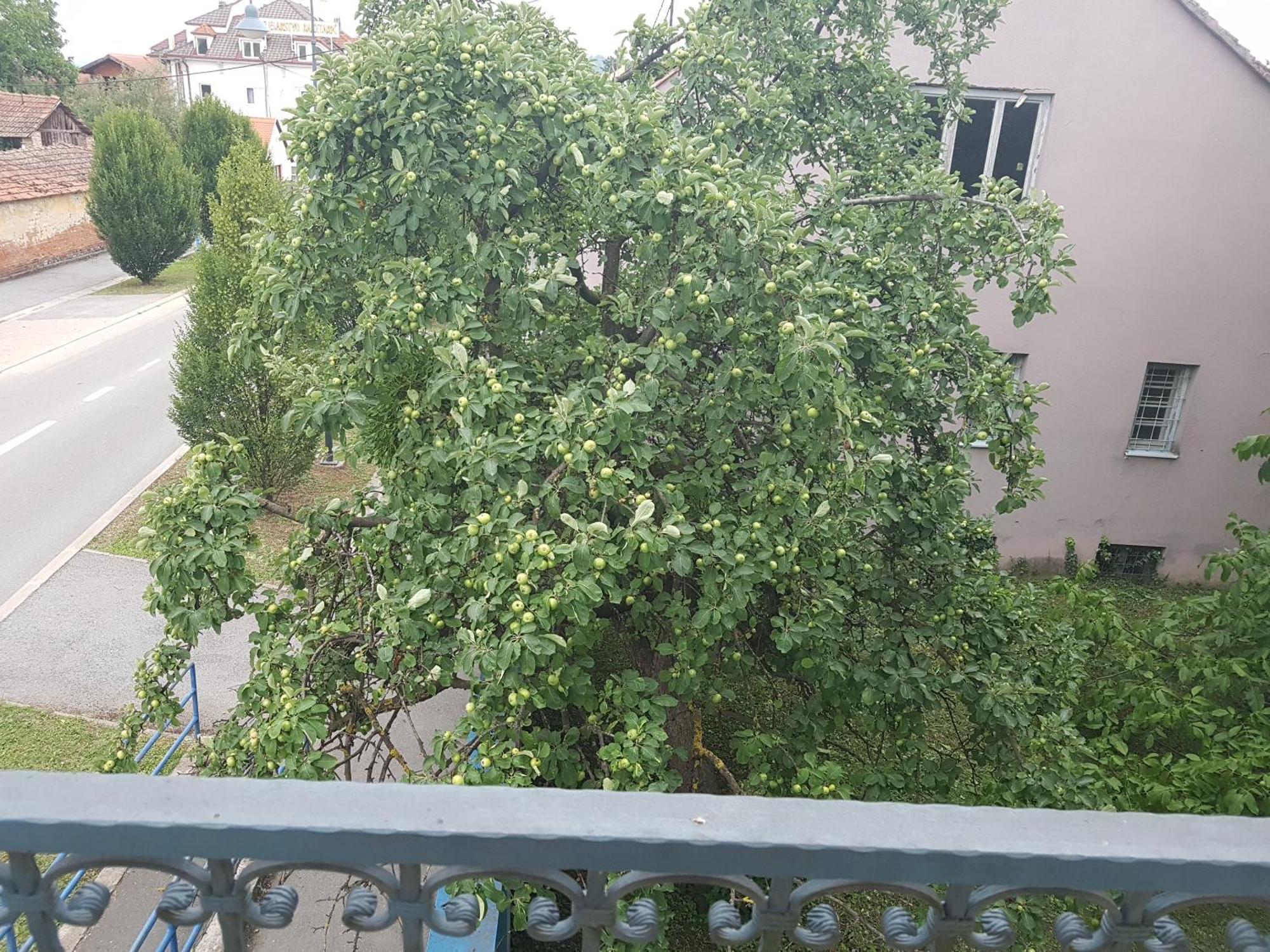 Pleternica Prenociste Klas חדר תמונה